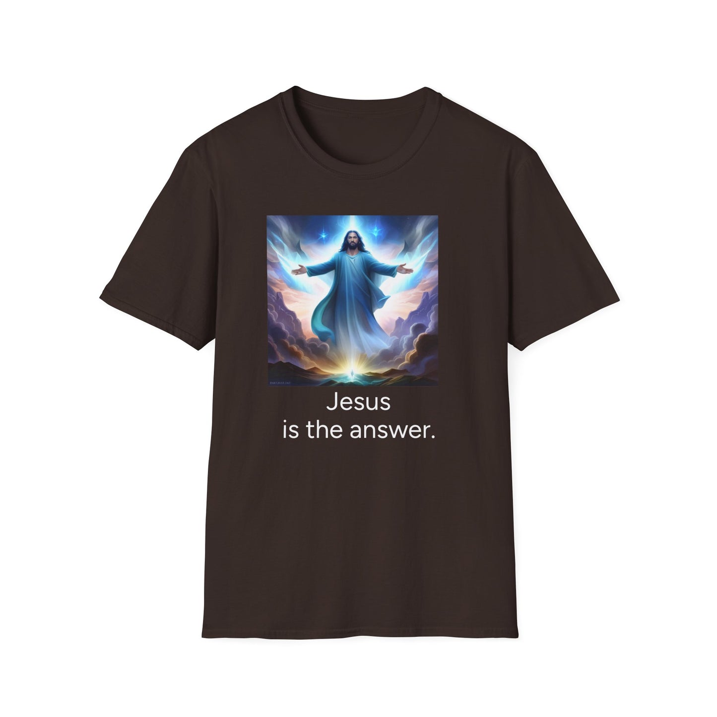 Jesus is the answer. Adults Image Unisex T-Shirt